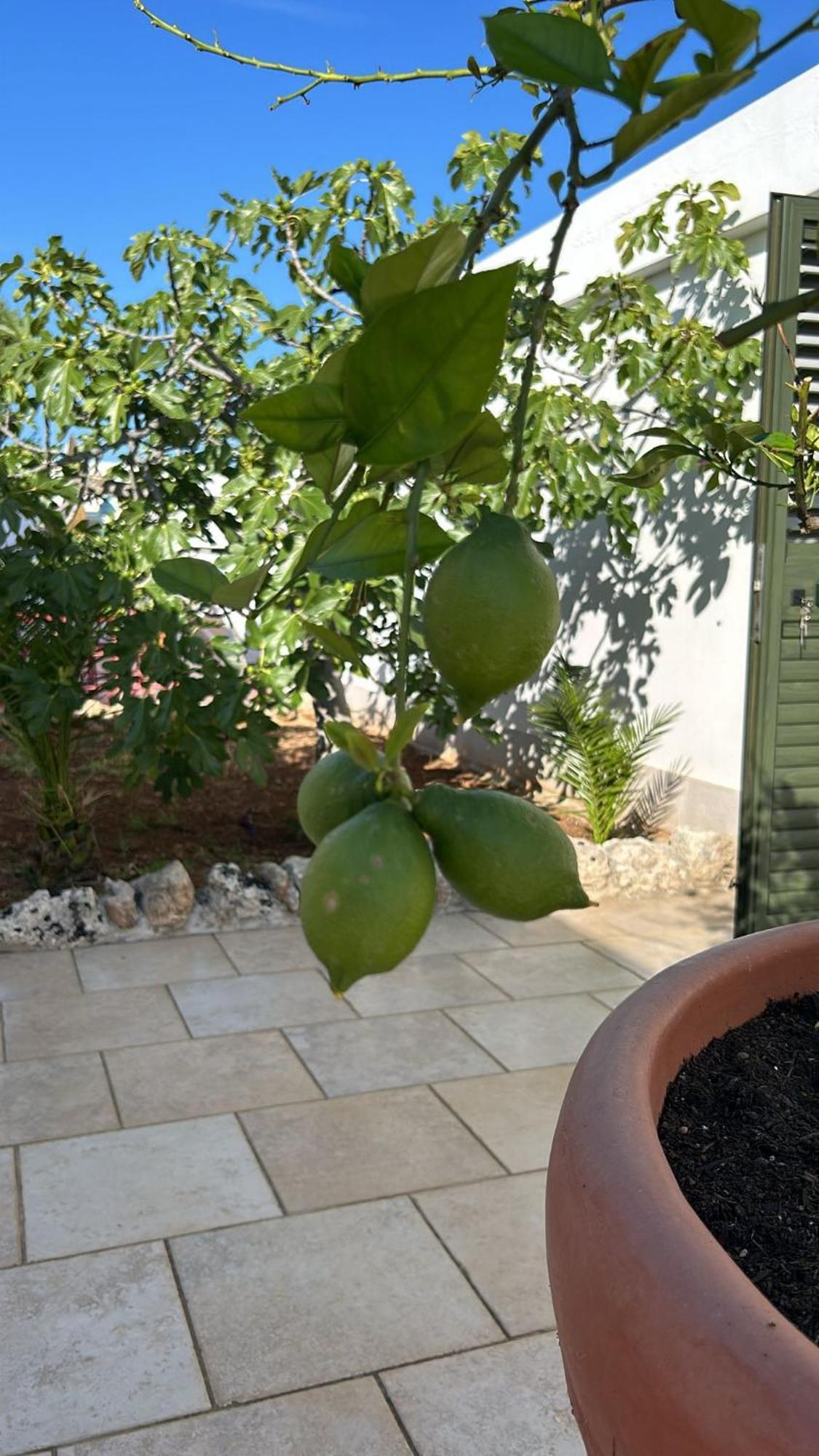 Villa Lamandia Monopoli Kültér fotó